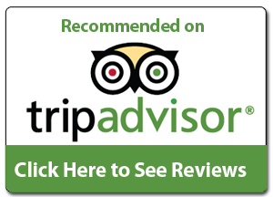 TripAdvisor